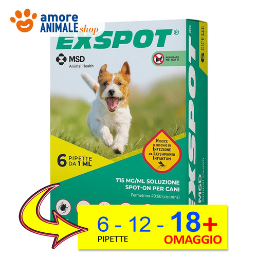 Exspot spot 6 - 6, 12